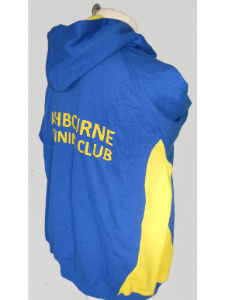 Image without description