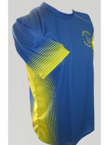 Image without description